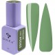 Gel Polish DNKa 12 ml no.0065