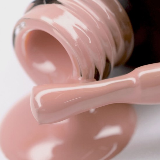 Gel polish PNB  005 8 ml