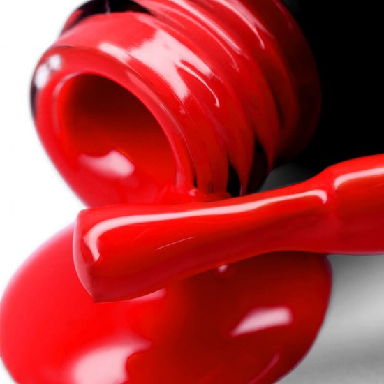 Gel polish PNB  013 8 ml