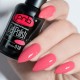 Gel polish PNB  018 8 ml
