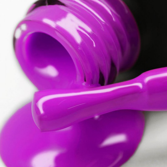 Gel polish PNB  040 8 ml