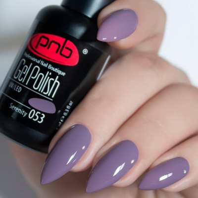 Gel polish PNB  053 8 ml