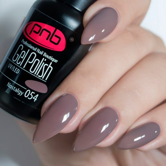 Gel polish PNB  054 8 ml