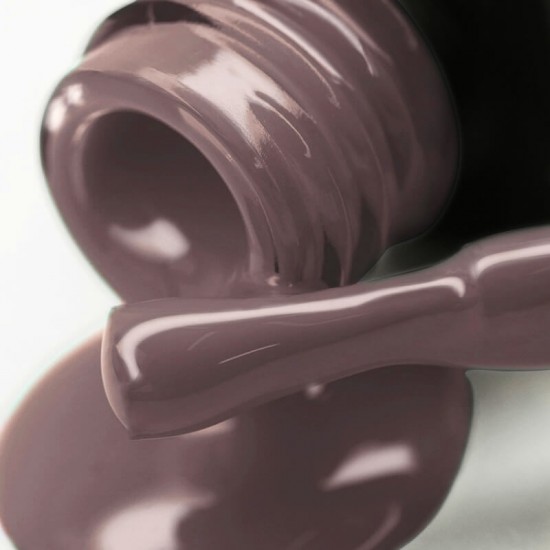 Gel polish PNB  054 8 ml