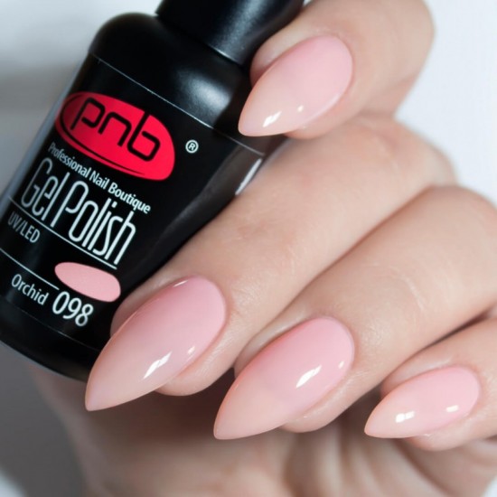 Gel polish PNB  092 8 ml