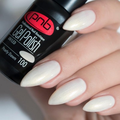 Gel polish PNB  100 8 ml