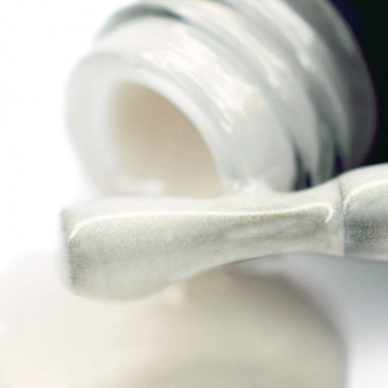 Gel polish PNB  100 8 ml