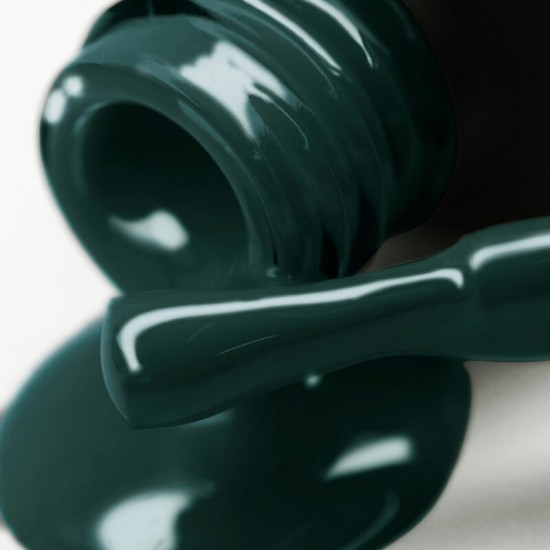 Gel polish PNB  105 8 ml