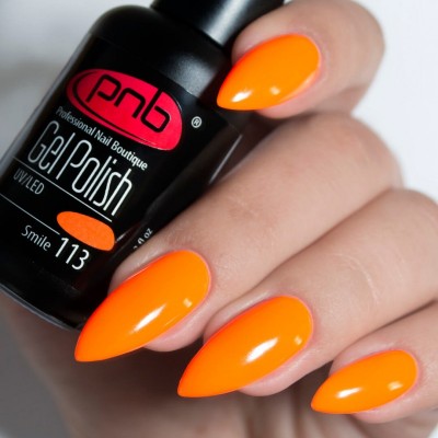 Gel polish PNB  113 8 ml