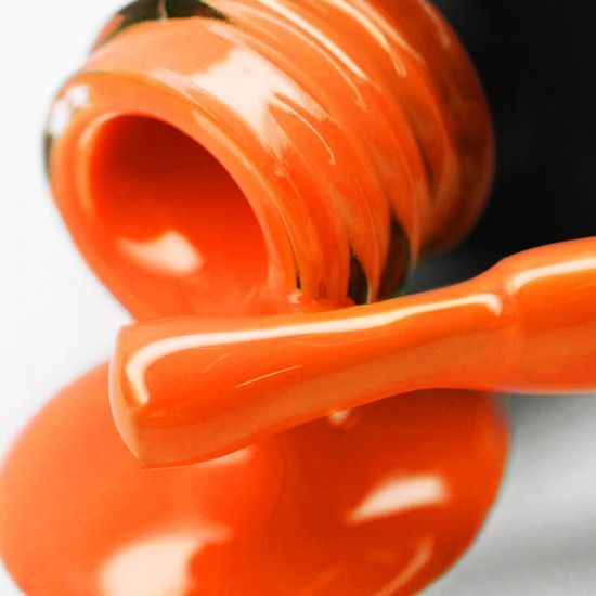 Gel polish PNB  113 8 ml