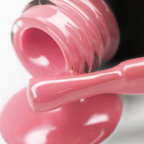 Gel polish PNB  119 8 ml