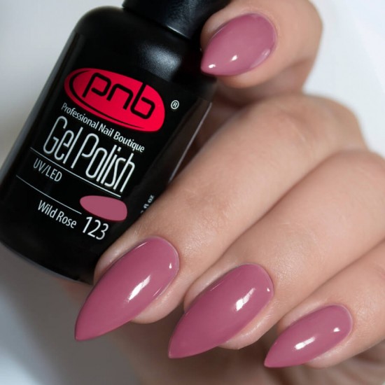 Gel polish PNB  123 8 ml