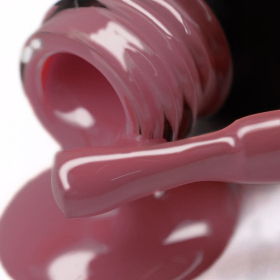 Gel polish PNB  123 8 ml