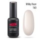 Gel polish PNB  160 8 ml