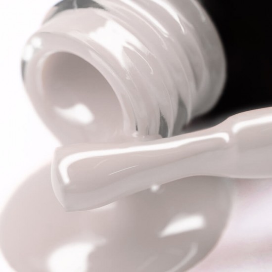 Gel polish PNB  160 8 ml