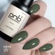 Gel polish PNB  177 8 ml