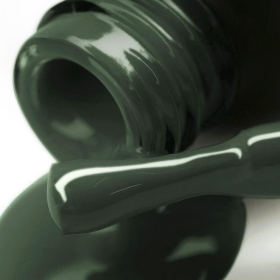 Gel polish PNB  177 8 ml