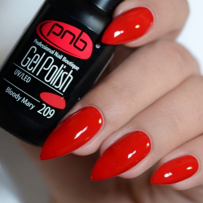 Gel polish PNB  209 8 ml