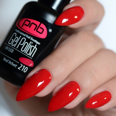 Gel polish PNB  210 8 ml