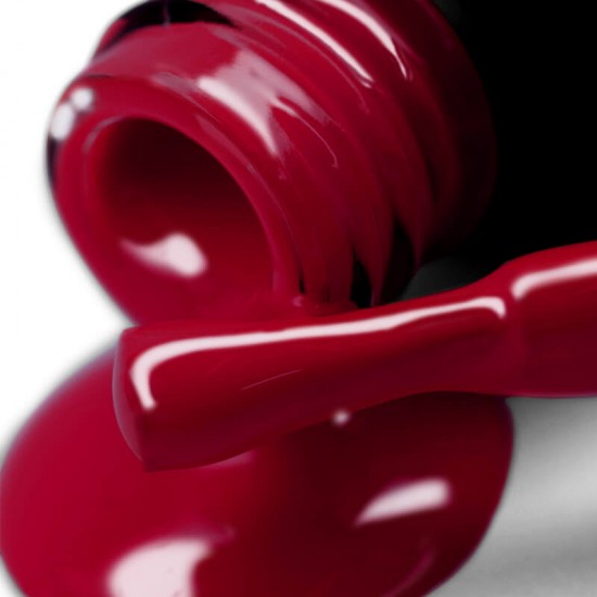 Gel polish PNB  210 8 ml