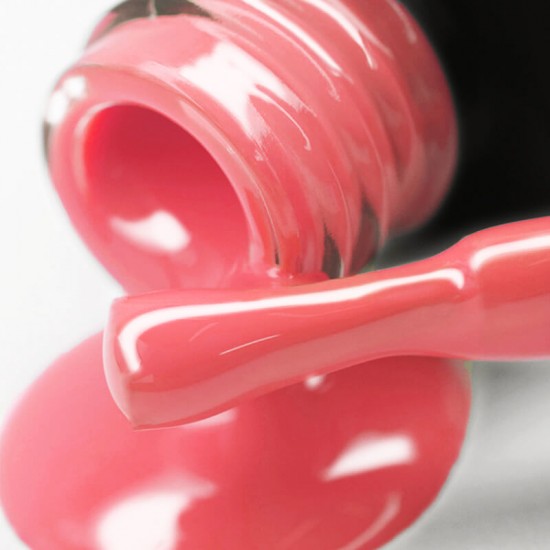 Gel polish PNB  213 8 ml