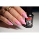 Gel polish PNB  217 8 ml