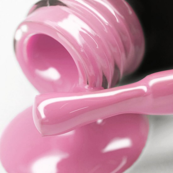 Gel polish PNB  217 8 ml