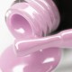 Gel polish PNB  219 8 ml