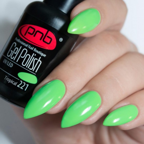 Gel polish PNB  221 8 ml