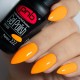 Gel polish PNB  222 8 ml