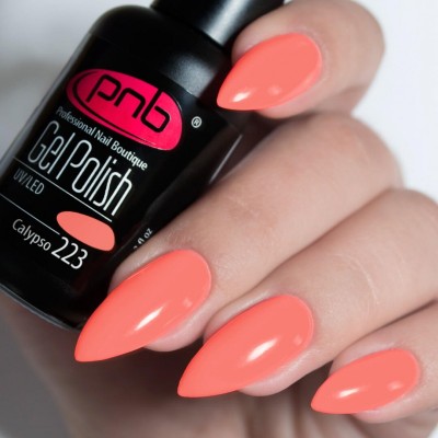 Gel polish PNB  223 8 ml