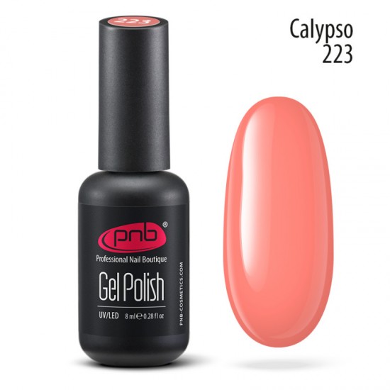 Gel polish PNB  223 8 ml