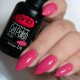 Gel polish PNB  226 8 ml