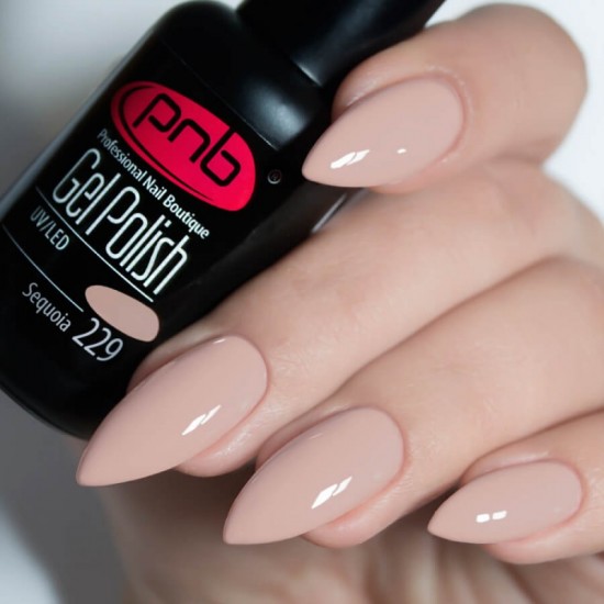 Gel polish PNB  229 8 ml