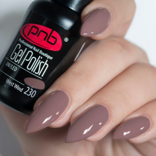 Gel polish PNB  230 8 ml