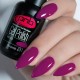 Gel polish PNB  231 8 ml