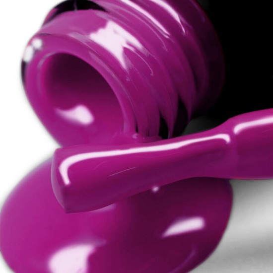 Gel polish PNB  231 8 ml