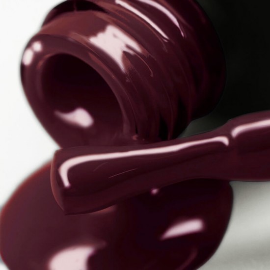 Gel polish PNB  234 8 ml