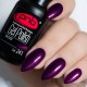 Gel polish PNB  241 8 ml