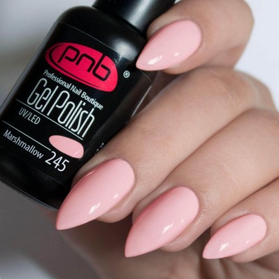 Gel polish PNB  245 8 ml