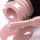Gel polish PNB  245 8 ml