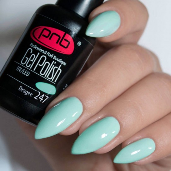 Gel polish PNB  247 8 ml