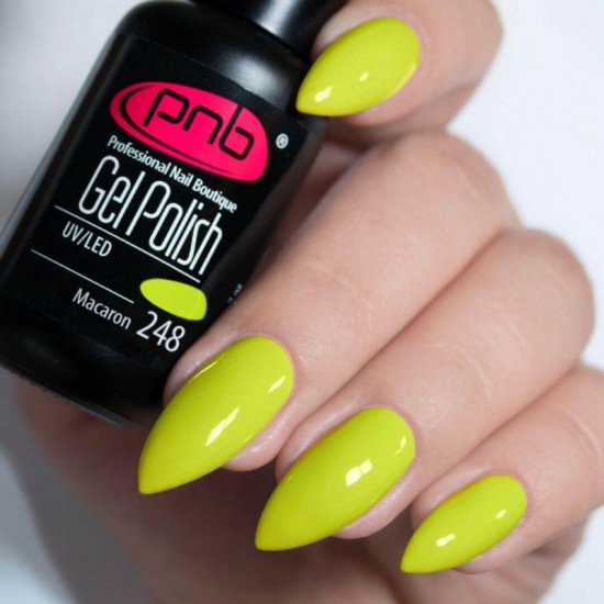 Gel polish PNB  248 8 ml