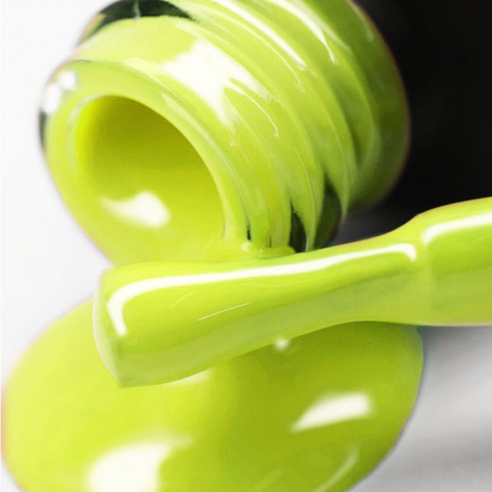 Gel polish PNB  248 8 ml