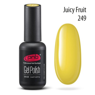Gel polish PNB  249 8 ml