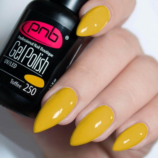 Gel polish PNB  250 8 ml