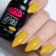 Gel polish PNB  250 8 ml