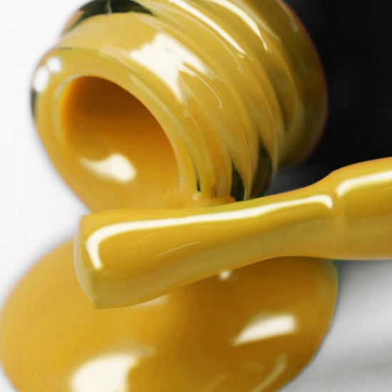 Gel polish PNB  250 8 ml