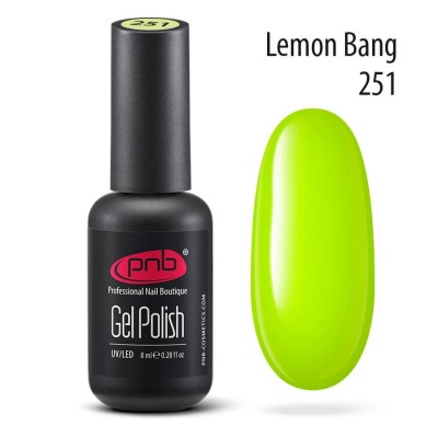 Gel polish PNB  251 8 ml