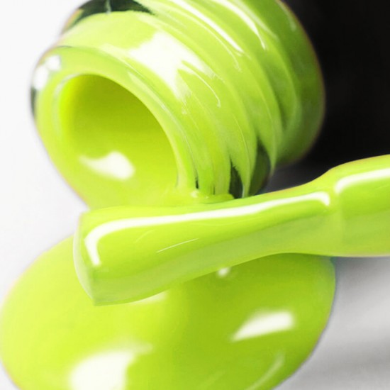 Gel polish PNB  251 8 ml